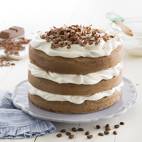 19-11-0410-Bizcochuelo Moka Principal 72 (500x500)